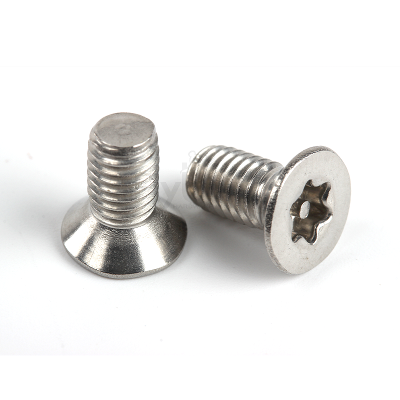 304防拆沉頭螺釘D1916